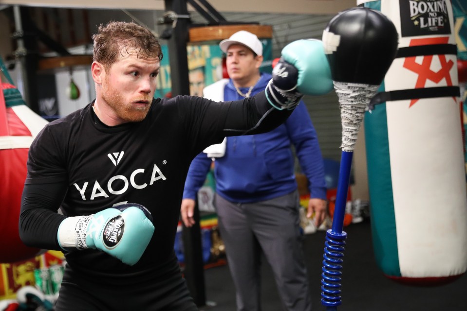 Canelo is the marginal favourite to beat Crawford despite the intriguing puzzle given his experience at 168lbs